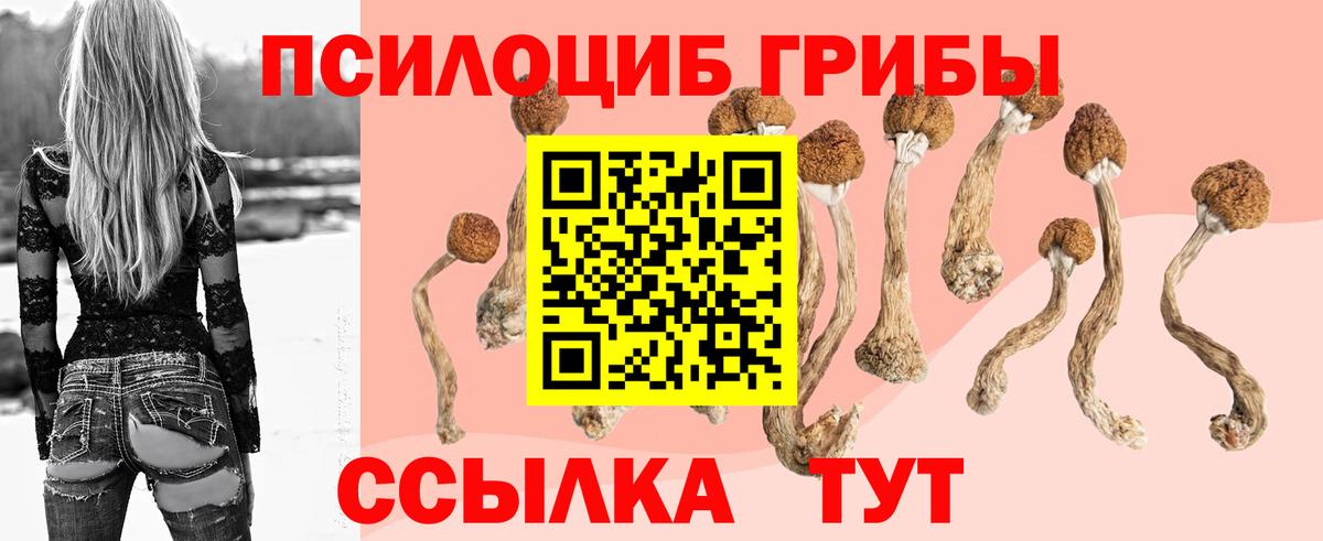 Железногорск  Галлюциногенные грибы Magic Shrooms  Галлюциногенные грибы GOLDEN TEACHER  Вход с VPN 